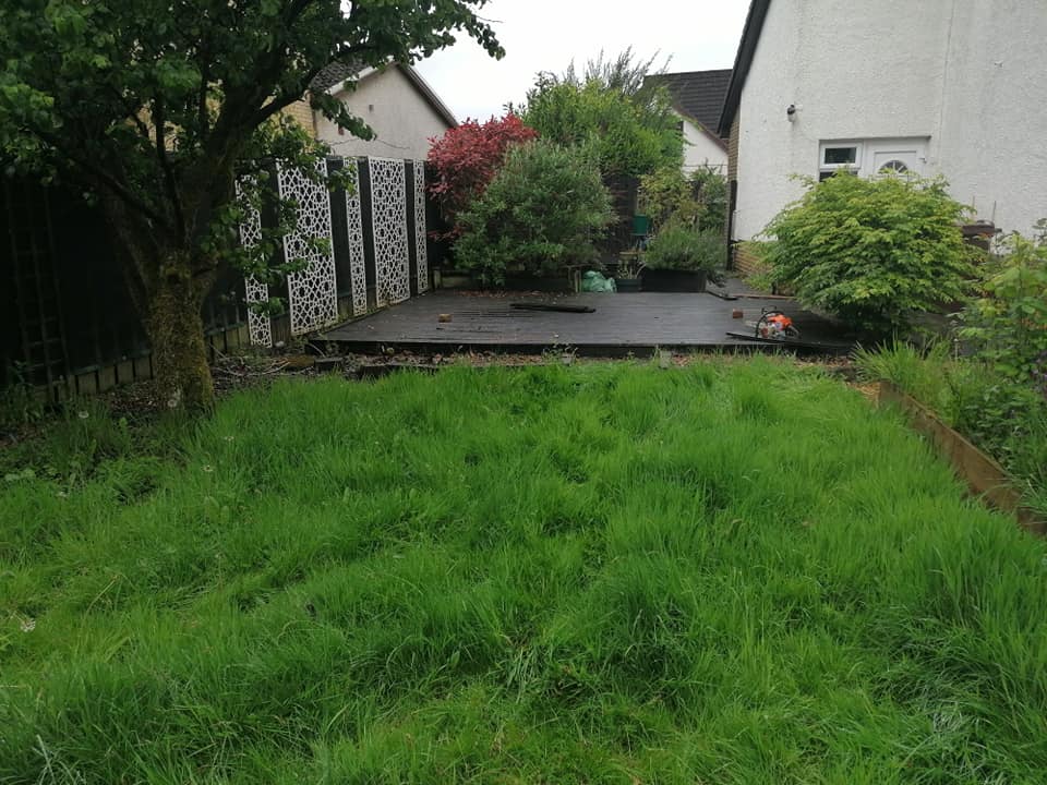 Garden before transformation - view 1
